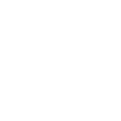 PAE